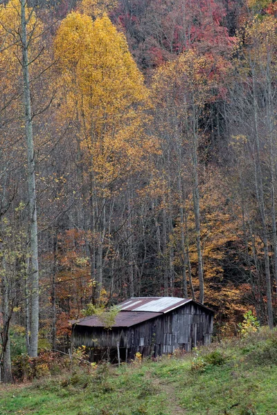 Granero Campo Verde Otoño Del Año — Foto de Stock