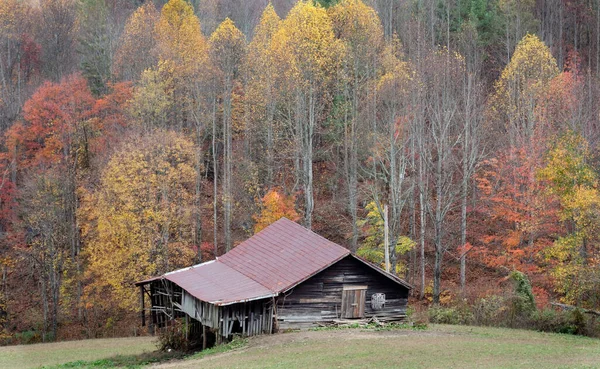 Barn in a green field in the fall of the year