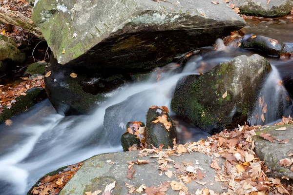 Каскадный Поток Камнями Осенними Листьями — стоковое фото