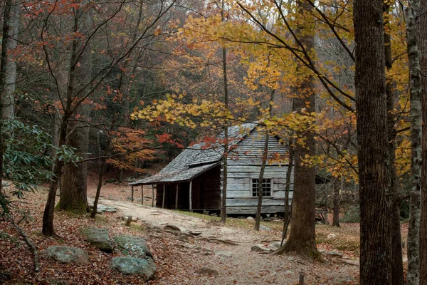 Autumn Ormanı 'ndaki eski ahşap kulübe.