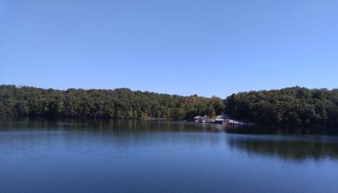 Sessiz bir gölde yansıyan ağaçlar