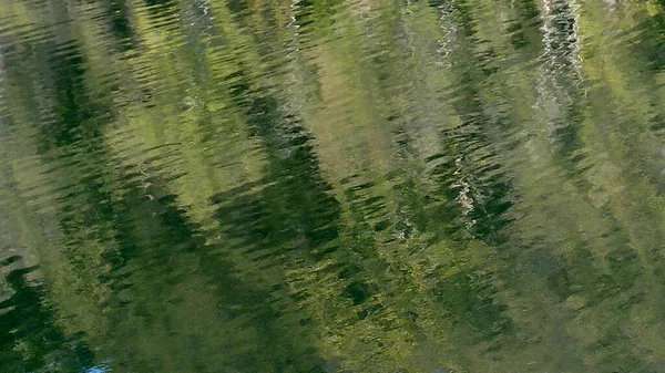 Träd Som Reflekteras Stilla Vatten — Stockfoto