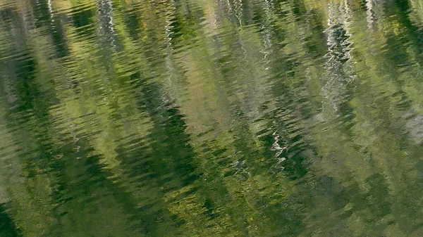 Trees Being Reflected Still Water — Stock Photo, Image