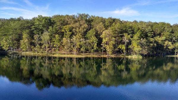 Árvores Refletindo Lago Tranquilo — Fotografia de Stock