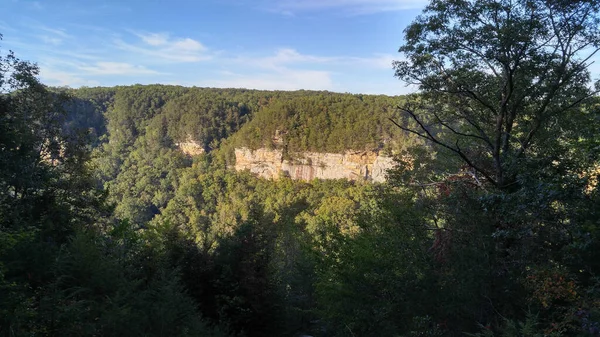 Tennessee Bergen Met Bomen — Stockfoto