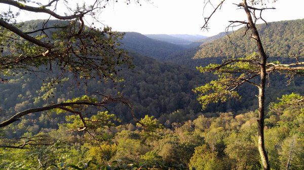 Tennessee mountains with trees