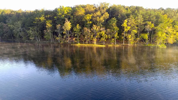 Morning Lake Com Árvores Banco — Fotografia de Stock
