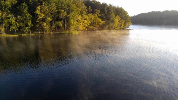 Lac Morning Avec Des Arbres Sur Rive — Photo