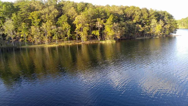 Morning Lake Com Árvores Banco — Fotografia de Stock