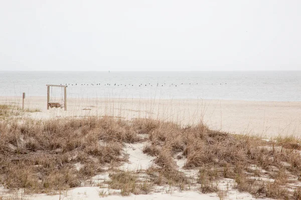 Oiseaux Survolant Les Vagues Océaniques — Photo