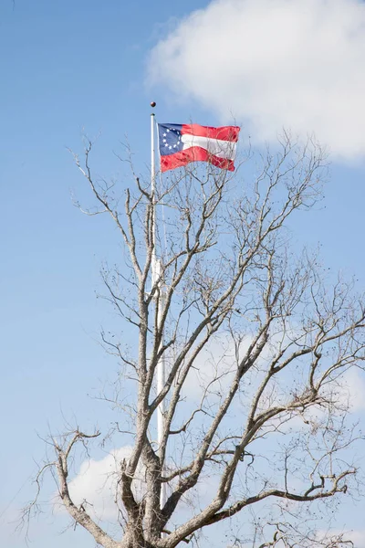 Bandera Vieja Con Árbol — Foto de Stock