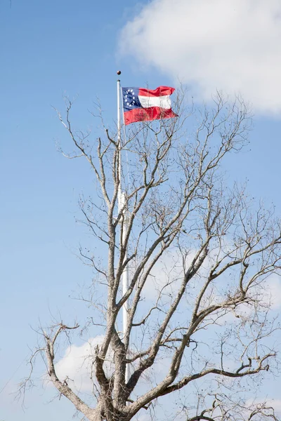 Bandera Vieja Con Árbol — Foto de Stock