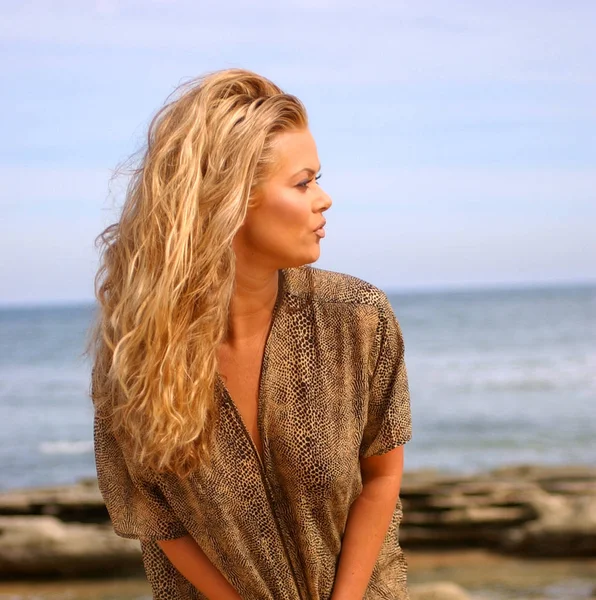 Provocative Suggestive Blonde Gold Tan Leopard Lingerie Daytona Beach Ocean — Stock Photo, Image