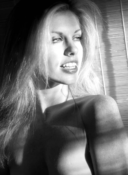 Black White Monochromatic Image Celebrity Playboy Model Julie Brock Playboy — стоковое фото