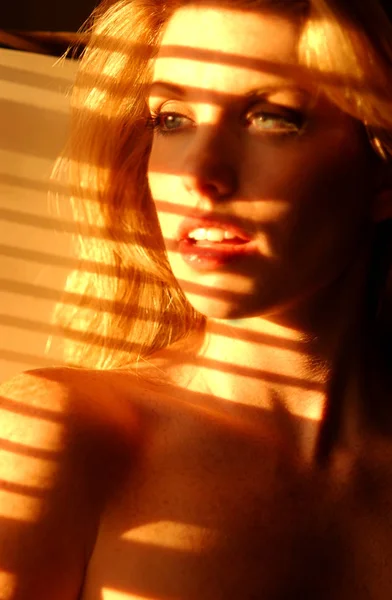 Obrázek Hry Celebrit Model Julie Brock Playboy Časopis Říjen 2001 — Stock fotografie