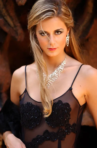 Professional Model Brittany Mason - Miss Indiana 2005 - Long Black formal dinner dress - silver jewelry earrings and necklace - strapless sheer eloquent vogue fashion wardrobe with black boots - impressive background and copy space - stone lion