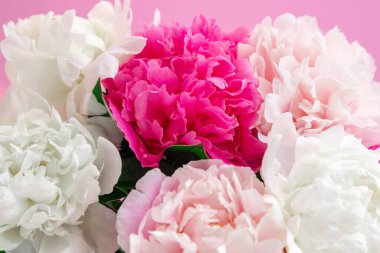 Pembe arka planda güzel çiçekler. Evrensel tebrik kartı. Öncülerle düzlük.