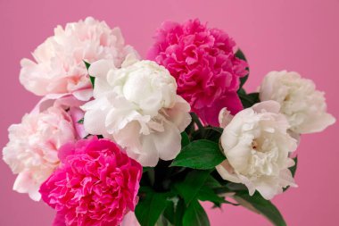 Pembe arka planda güzel çiçekler. Evrensel tebrik kartı. Öncülerle düzlük.