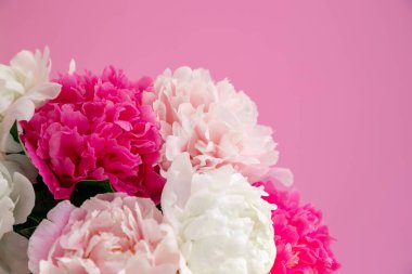 Pembe arka planda güzel çiçekler. Evrensel tebrik kartı. Öncülerle düzlük.