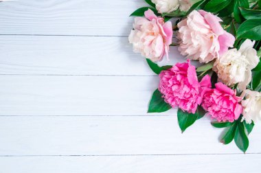 Beyaz ahşap arka planda pembe güzel çiçekler. Evrensel tebrik kartı.
