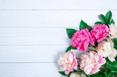 Beyaz ahşap arka planda pembe güzel çiçekler. Evrensel tebrik kartı.