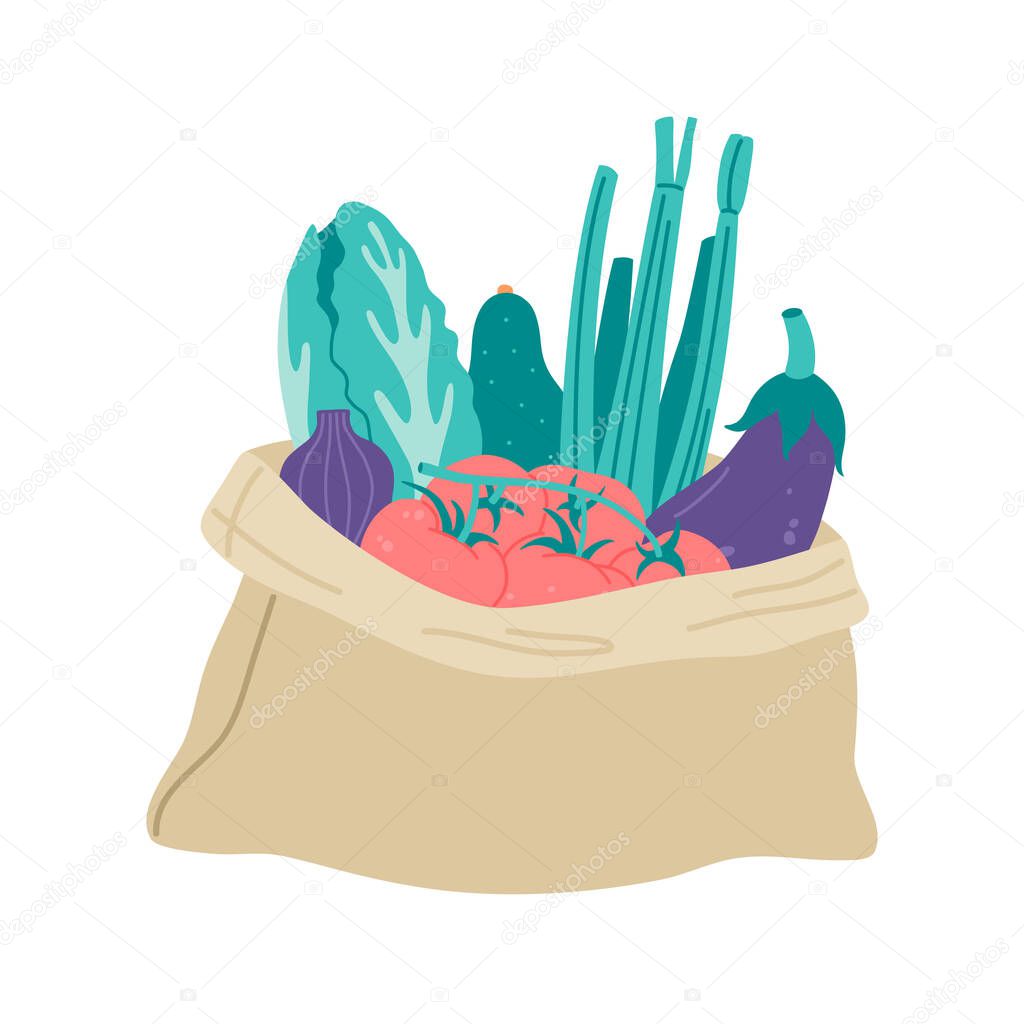 Fresh vegetables in bag. Healthy food, cabbage, tomato, eggplant, celery, onion, avocado. Zero waste, no plastic, organic material. Vector illustartion in flat style