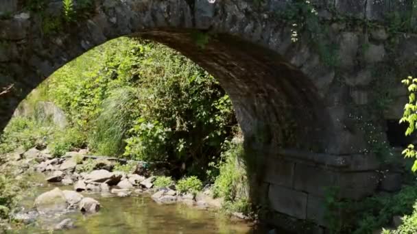Ponte Pedra Medieval Antiga Sobre Pequeno Rio Reflexão Brilho Sol — Vídeo de Stock