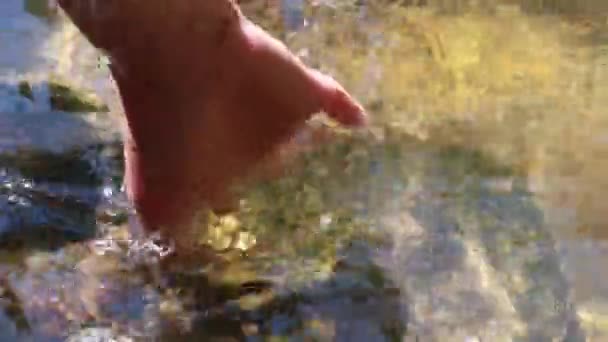 Dłoń Ręka Głaszcze Strumień Przezroczysty Rzeka Strumień Zbliżenie — Wideo stockowe