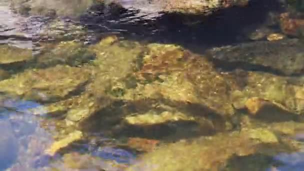 Przejrzysta Rzeka Słońcu Przepływa Przez Kamienie — Wideo stockowe