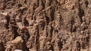 Toprak kesiğine yakın çekim. Doku. Arkaplan.