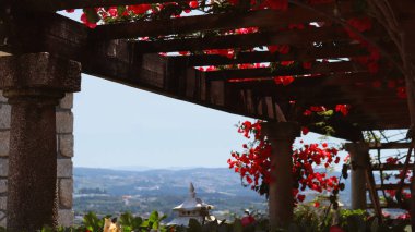 Bir dağ manzarasının arka planında çiçek açan ahşap teras.