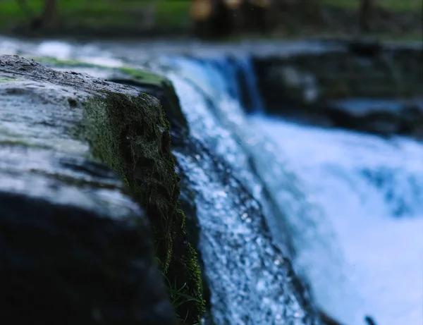 Ein Blick in die Natur im Frühling — Stockfoto