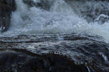 Fotoğrafçılık ve rahatlatıcı anlar Thuringia 'da doğaya
