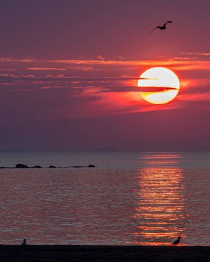 Rockport, Massachusetts 'ten günbatımı sahnesi.