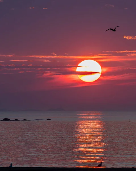 Scène Coucher Soleil Rockport Massachusetts — Photo