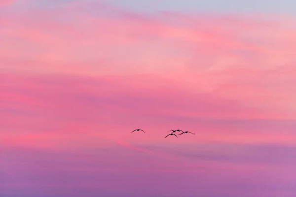Летнее Небо Нантакете — стоковое фото