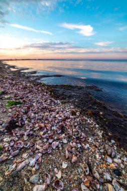 New England Massachusetts yaz günbatımları. 