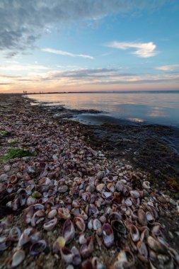 New England Massachusetts yaz günbatımları. 
