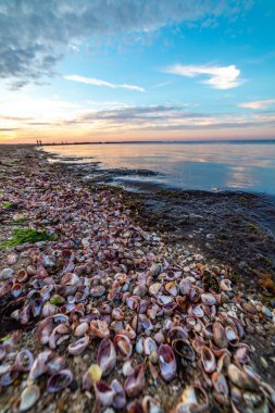 New England Massachusetts yaz günbatımları. 