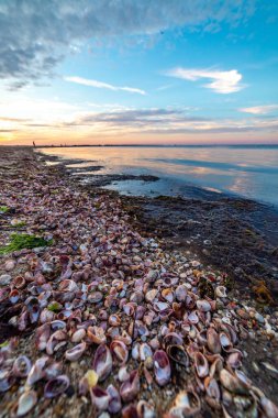 New England Massachusetts yaz günbatımları. 