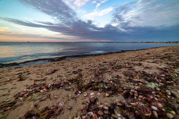 New England Massachusetts Summer Sunset — стокове фото