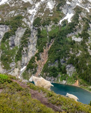 Yeni Zelanda Günbatımı Seyahat Macerası ve Kuzey Şelaleleri Ulusal Parkı.