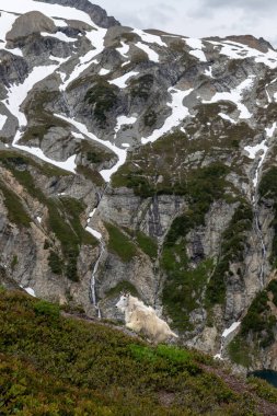 Yeni Zelanda Günbatımı Seyahat Macerası ve Kuzey Şelaleleri Ulusal Parkı.