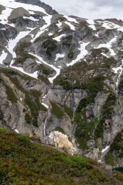 Yeni Zelanda Günbatımı Seyahat Macerası ve Kuzey Şelaleleri Ulusal Parkı.
