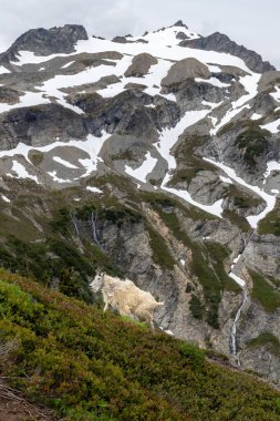 Yeni Zelanda Günbatımı Seyahat Macerası ve Kuzey Şelaleleri Ulusal Parkı.