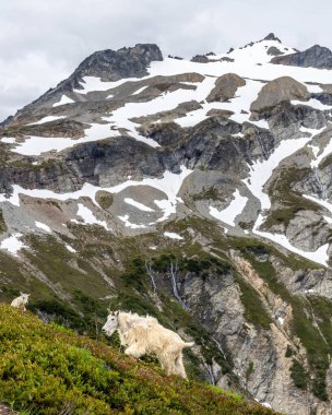 Yeni Zelanda Günbatımı Seyahat Macerası ve Kuzey Şelaleleri Ulusal Parkı.