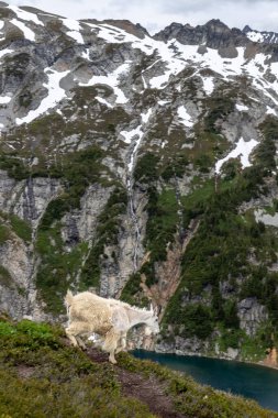 Yeni Zelanda Günbatımı Seyahat Macerası ve Kuzey Şelaleleri Ulusal Parkı.