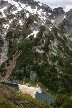 Yeni Zelanda Günbatımı Seyahat Macerası ve Kuzey Şelaleleri Ulusal Parkı.