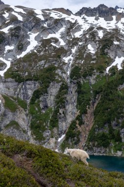Yeni Zelanda Günbatımı Seyahat Macerası ve Kuzey Şelaleleri Ulusal Parkı.