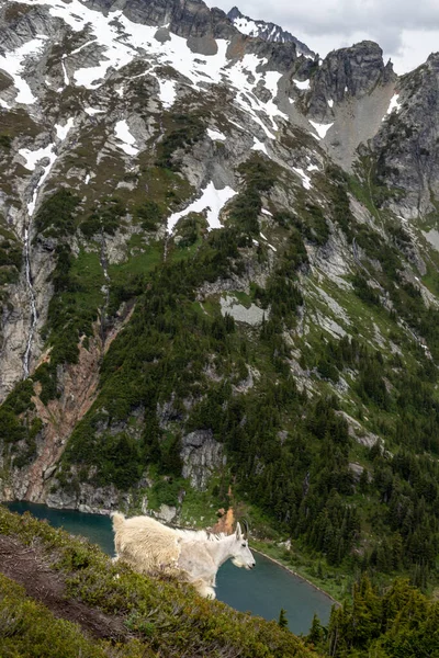 Yeni Zelanda Günbatımı Seyahat Macerası ve Kuzey Şelaleleri Ulusal Parkı.